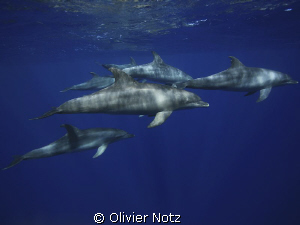 Fortunately, the visibility was geat that day... by Olivier Notz 